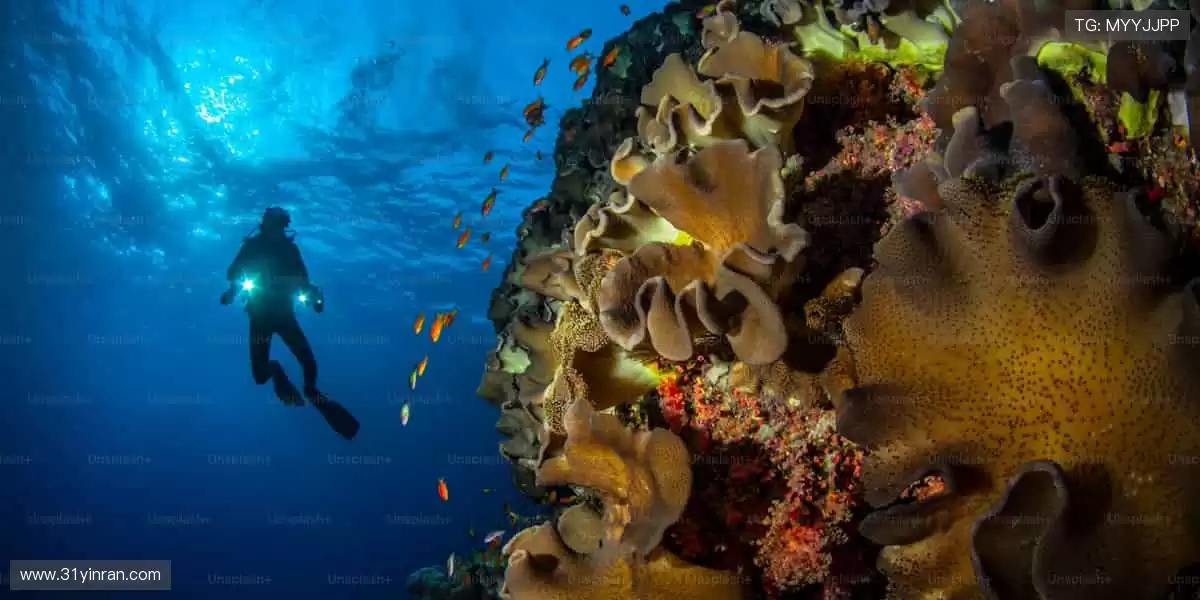 ⚡巅峰对决,心跳与欢呼同频!🏆